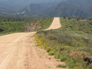 main road to property